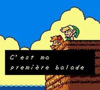 une photo d'Ã©cran de The Legend of Zelda - Link s Awakening DX sur Nintendo Game Boy Color